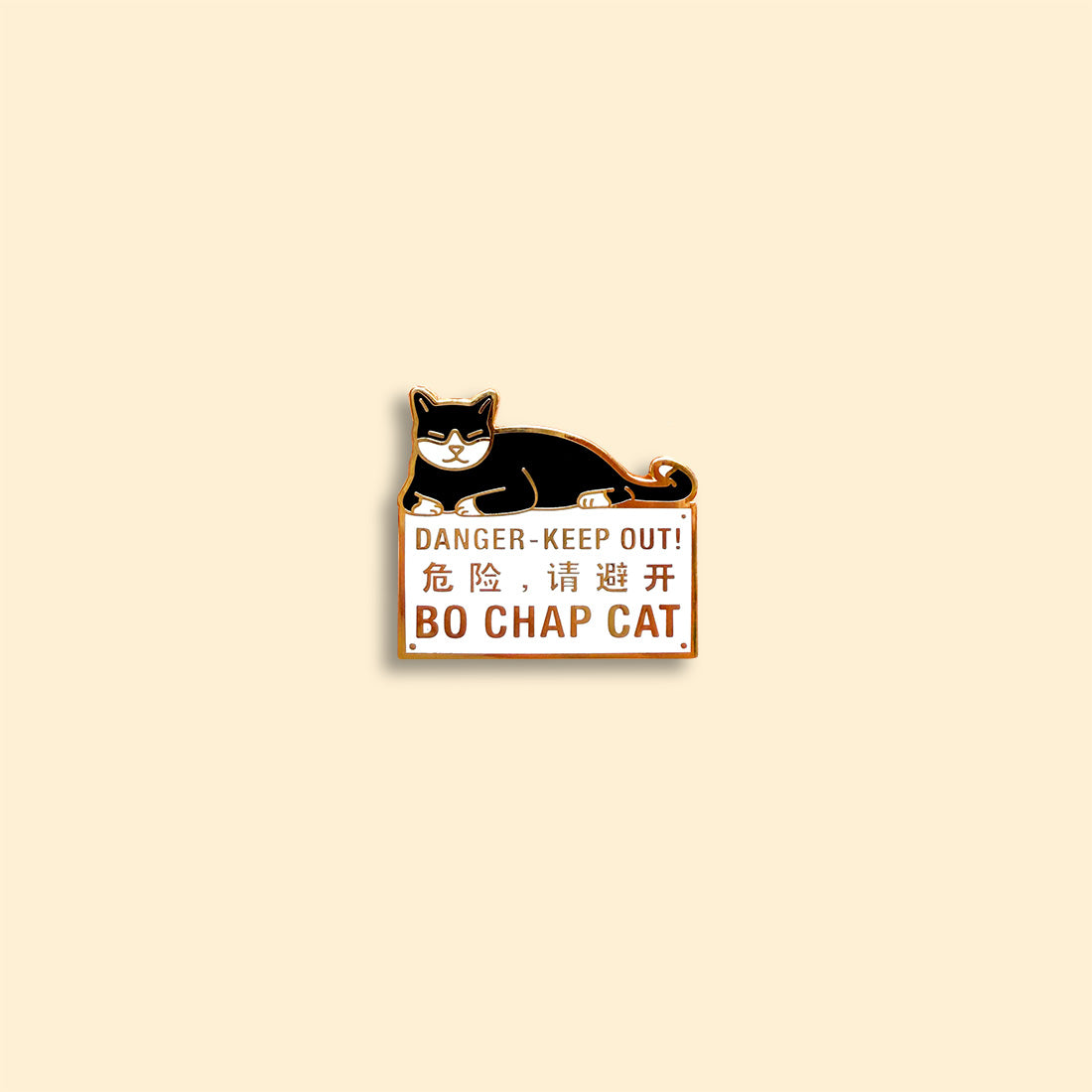 Everyday SG Pin – Bo Chap Cat