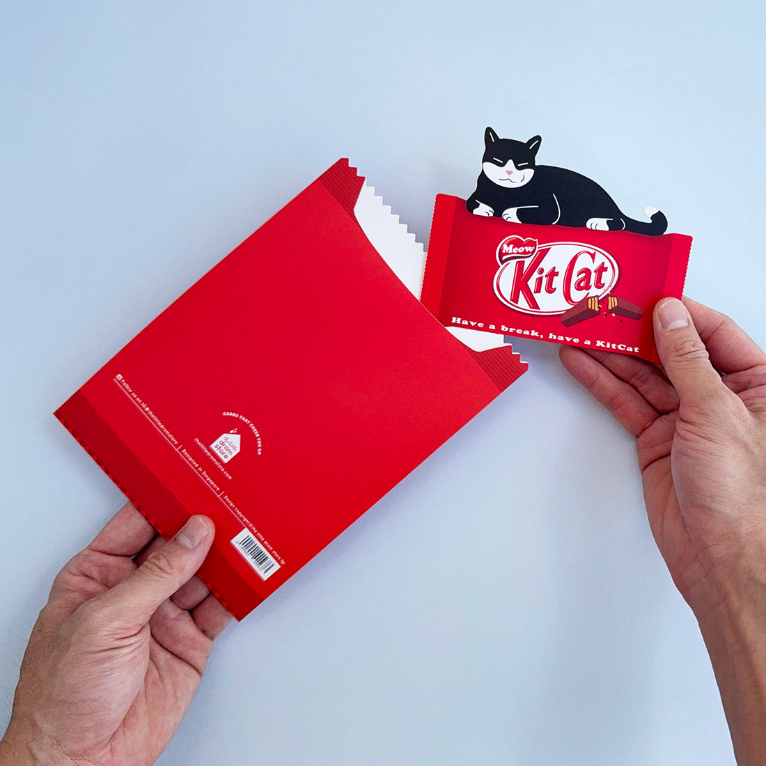 Card Sleeve + Postcards Set - Kit Cat Snack